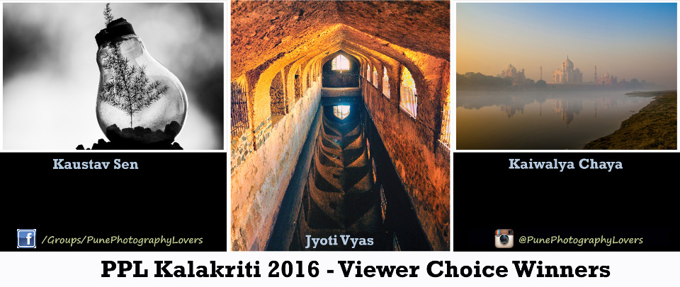 PPL Kalakriti 2016-Viewer Choice Collage