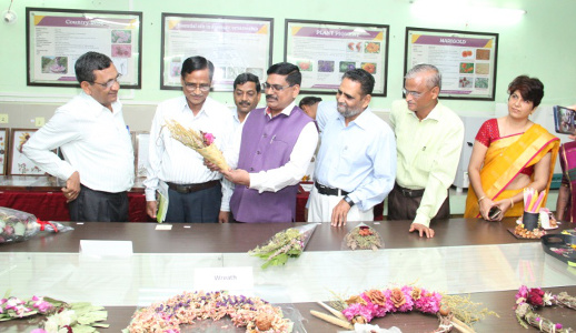 Dr Alka Singh - Exhibition- Drying technology in Flowers