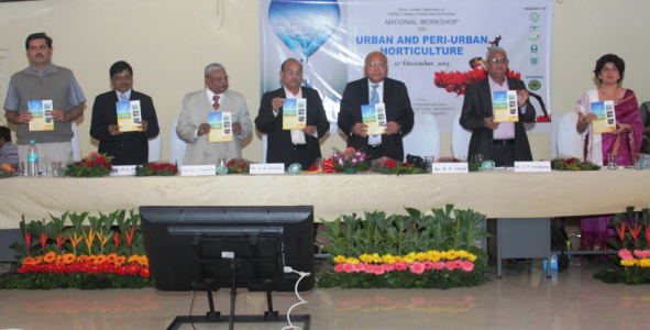Dr Alka Singh - National workshop on Urban Periurban Horticulture, Dec 2013 NAU Navsari
