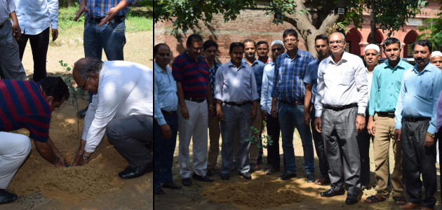 Dr Nafees Ahmad Khan - Tree plantation drive organized by non-teaching staff of Dept of Botany, AMU